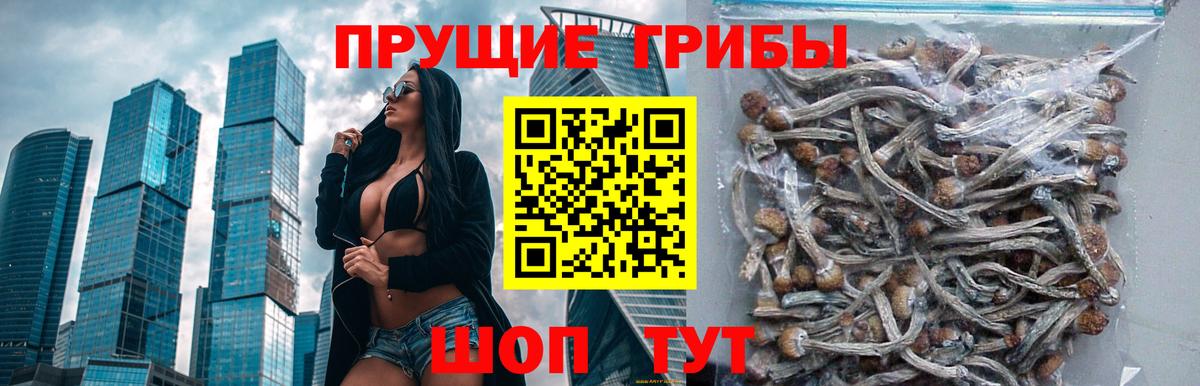 Галлюциногенные грибы мицелий  Вход с VPN  Иркутск 